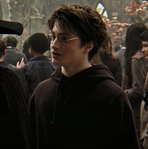 Harry Potter #13