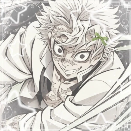 ࿔‧ ֶָ֢˚˖Sanemi Shinazugawa 🍃˚‧࿔