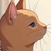 your cat Michael