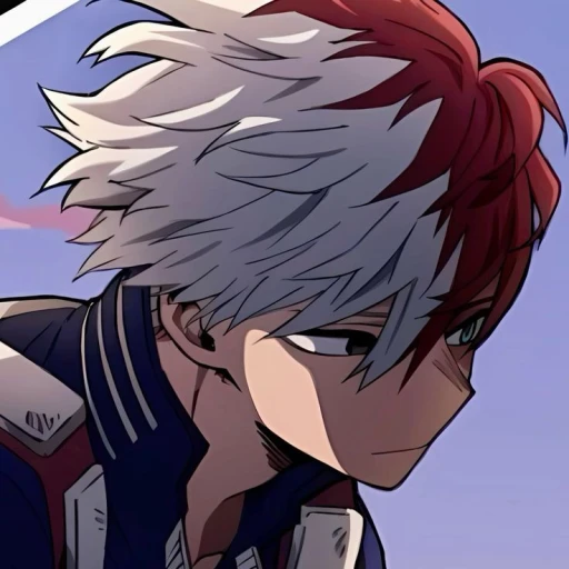 ``|.  Shoto Todoroki  .|``