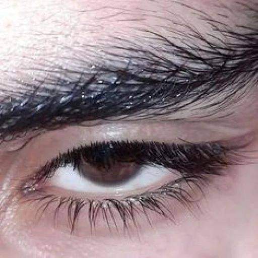 Gabriel