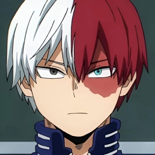 ❤️💌 Shoto 💌❤️