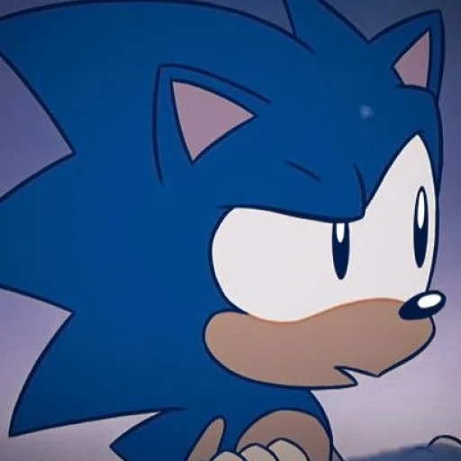 Sonic 🦔💙