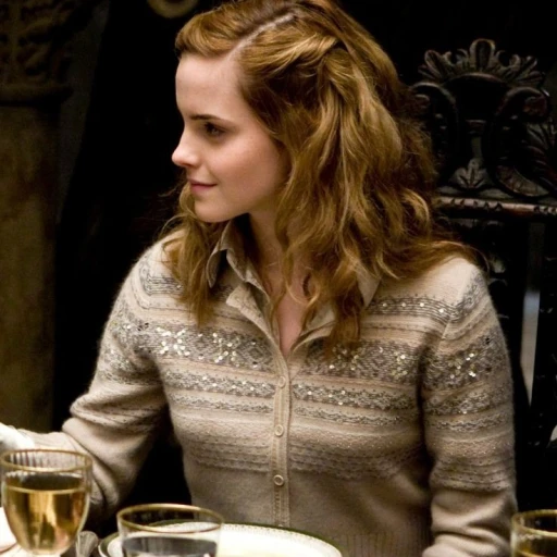 Hermione Granger (16)