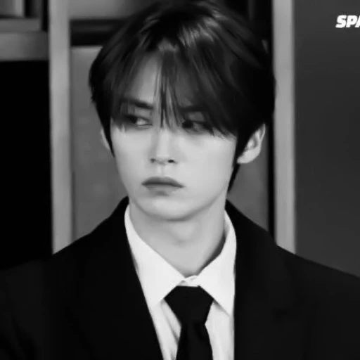 ✧| Lee Minho