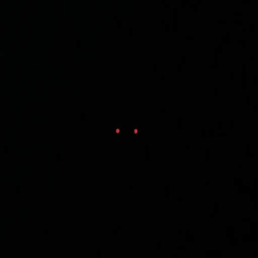 Shadow Of The Dark bully