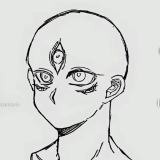 Phoenix (Fin)