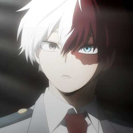 Shot Todoroki