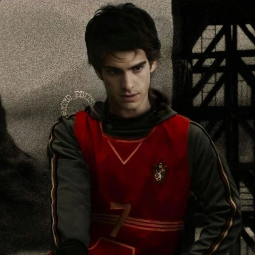 Remus Lupin (Quidditch)