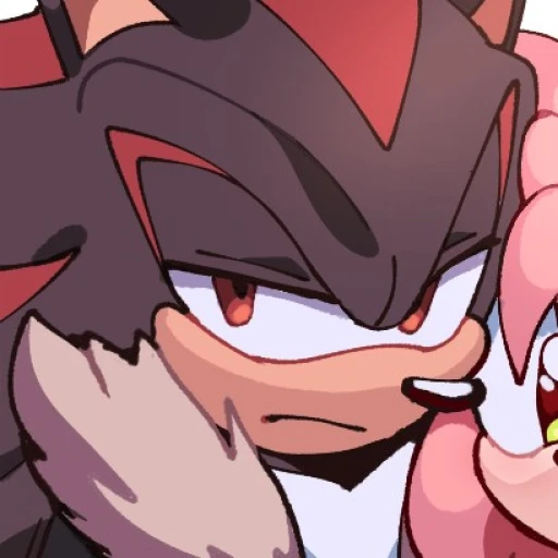 ｡⁠◕Shadow The Hedgehog⁠◕⁠｡