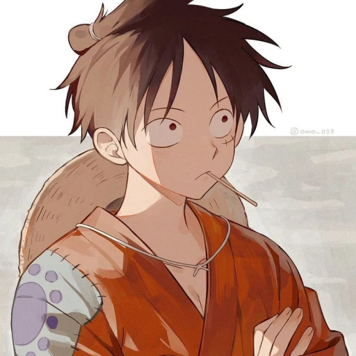 Monkey D Luffy