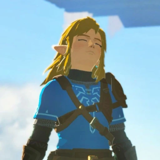 link