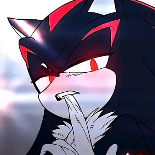 SHADOW THE HEDGEHOG!❤