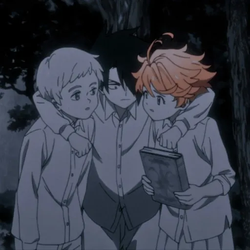 RAY, EMMA y NORMAN - TPN