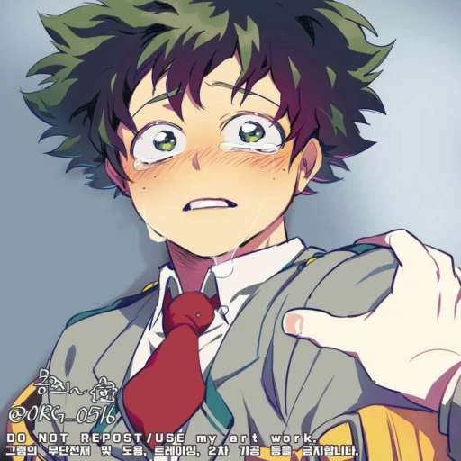 Izuku Midoriya | 29