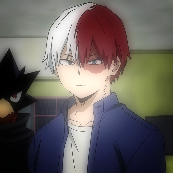Shoto Todoroki⁶