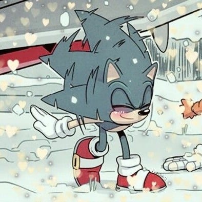 🌨Sonic the hedgehog🌨