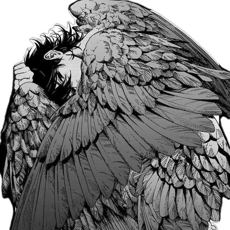 Crow | .・・゜٭
