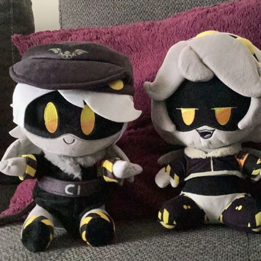 V y N