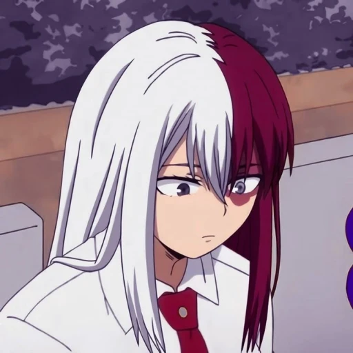 Shoko Todoroki