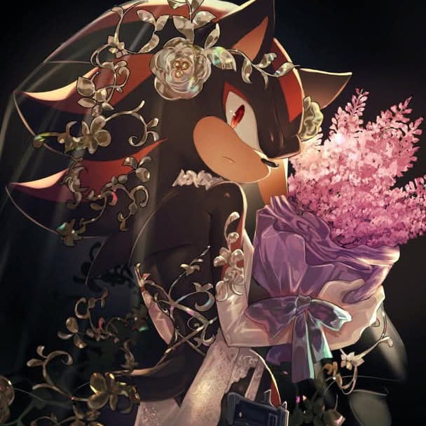 💐 Shadow ||proposal||💐