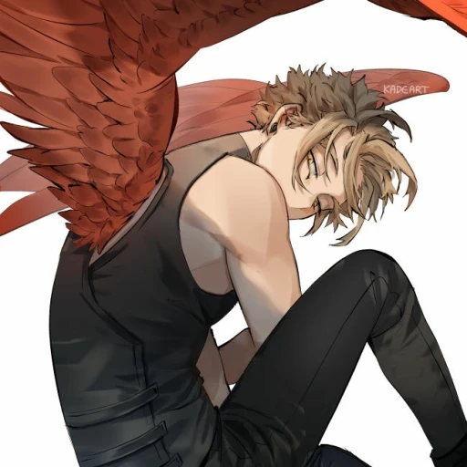 Hawks