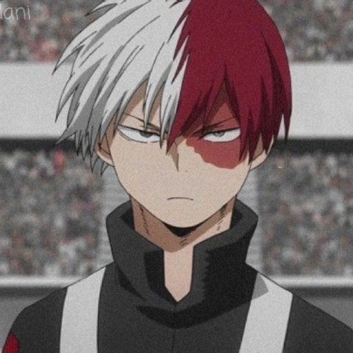 bad husband todoroki