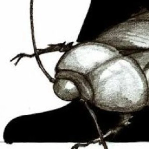Apthoroblactin