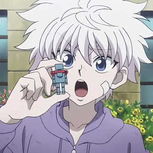 Killua Zoldyck
