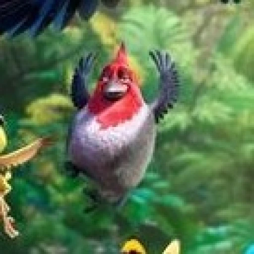 Pedro