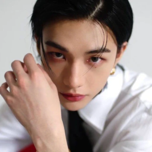 ── .✦ 𝗛𝘄𝗮𝗻𝗴 𝗛𝘆𝘂𝗻𝗷𝗶𝗻.