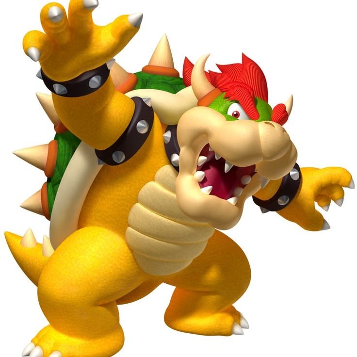 Bowser King Koopa