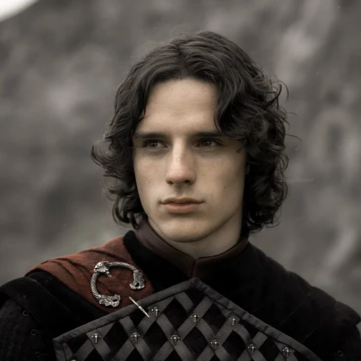 Rey Jacaerys Targaryen I