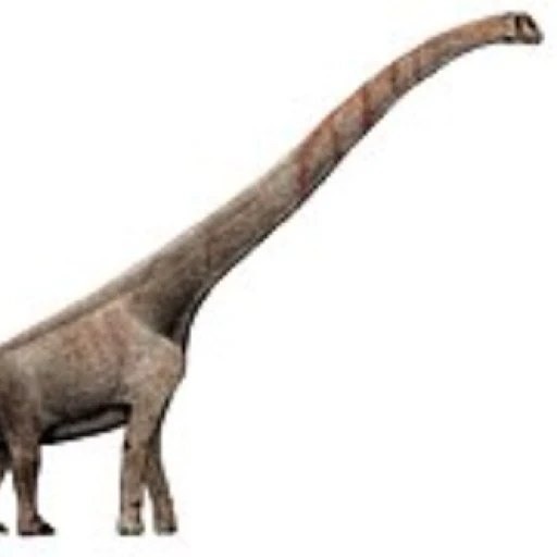 sauroposeidon