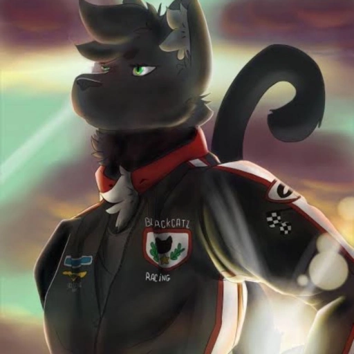 Fernández (Furry - racing driver)