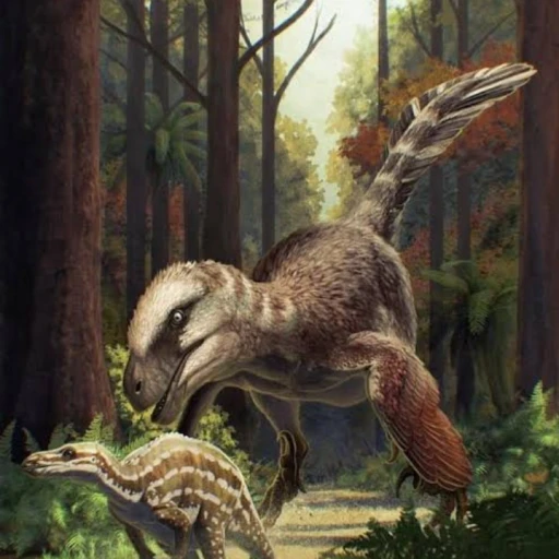 dromaeossauro