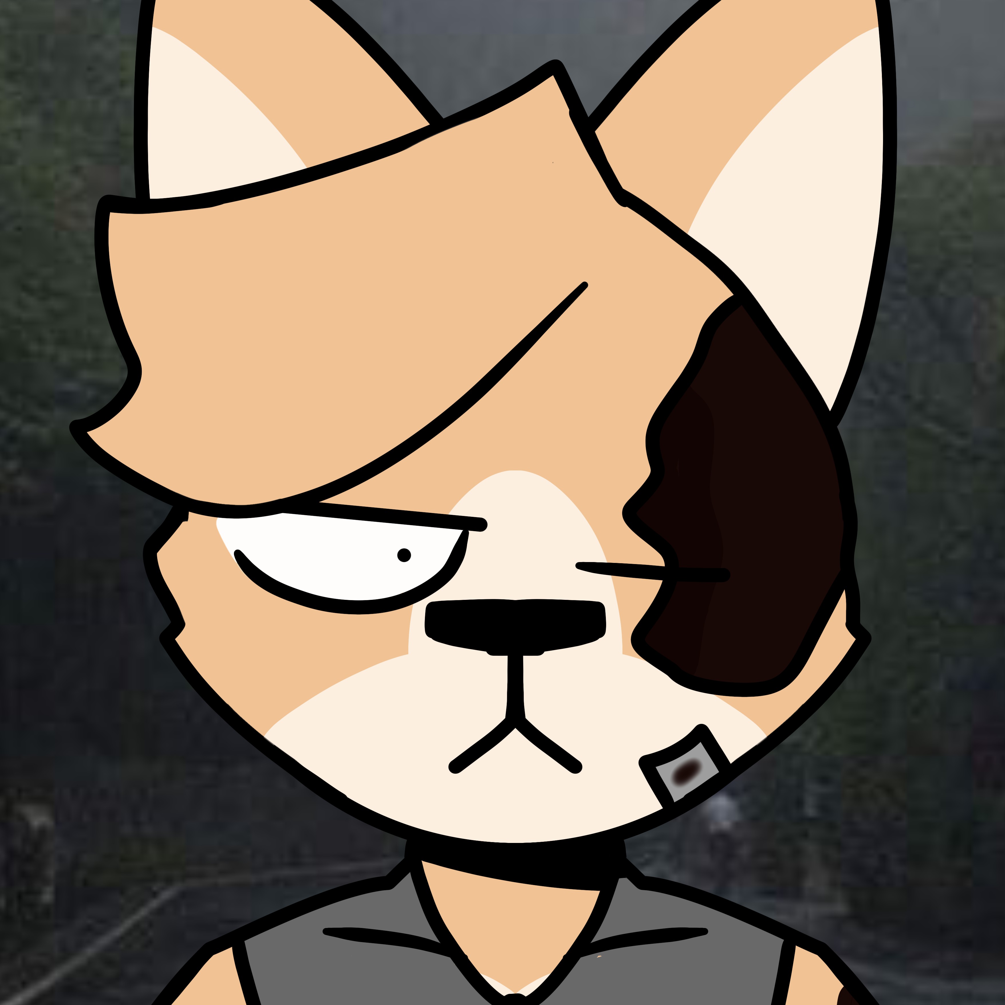 marco the chiba