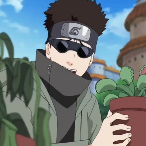 Shino #4