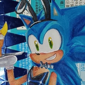 bunny suit sonic