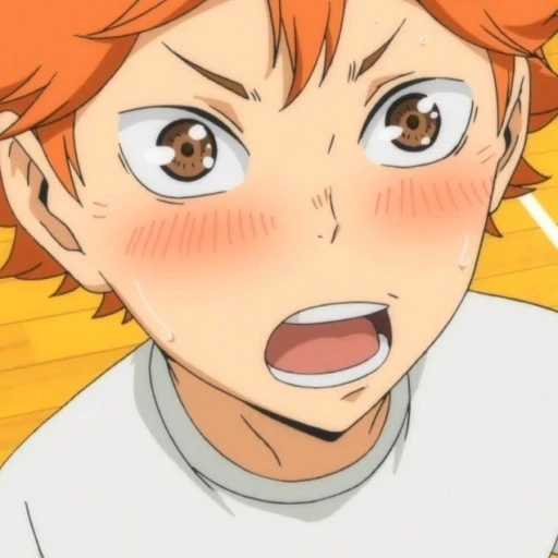 🍦°´~ Hinata Shoyo