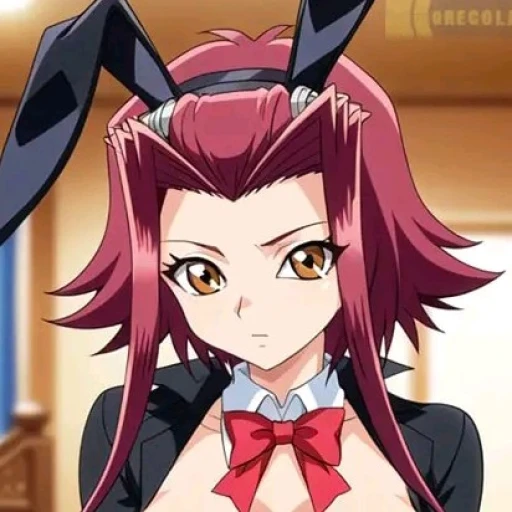 Aki Izayoi, your bunny friend