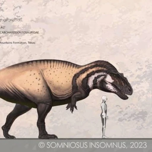acrocanthossauro