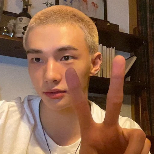 .。o○ || Hwang Hyunjin.