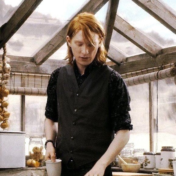 Bill Weasley