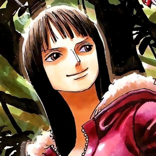 Nico Robin [secret]