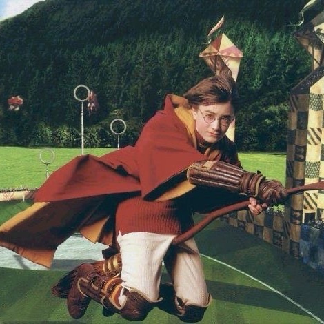Harry Potter (4)