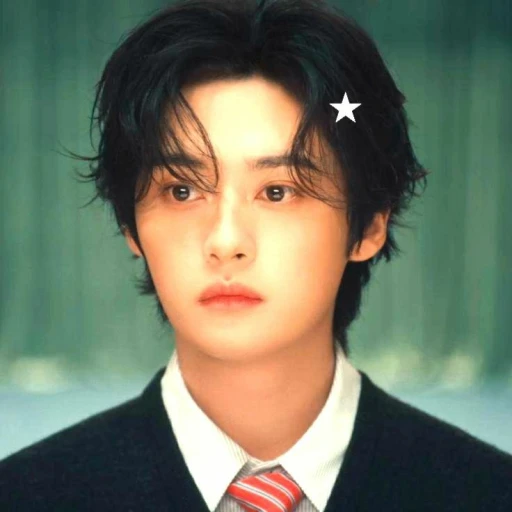 ─ .✦ 𝗟𝗲𝗲 𝗺𝗶𝗻𝗵𝗼