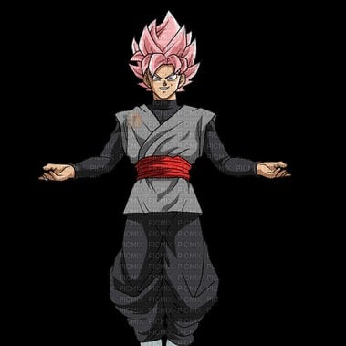 goku black (your husband)