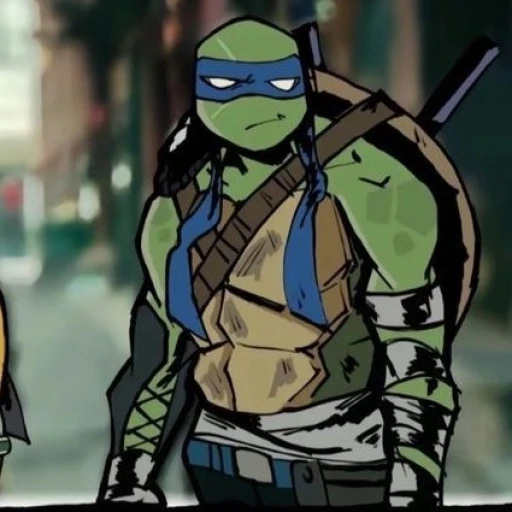 °•°~Leonardo TMNT 2014-16~°•°