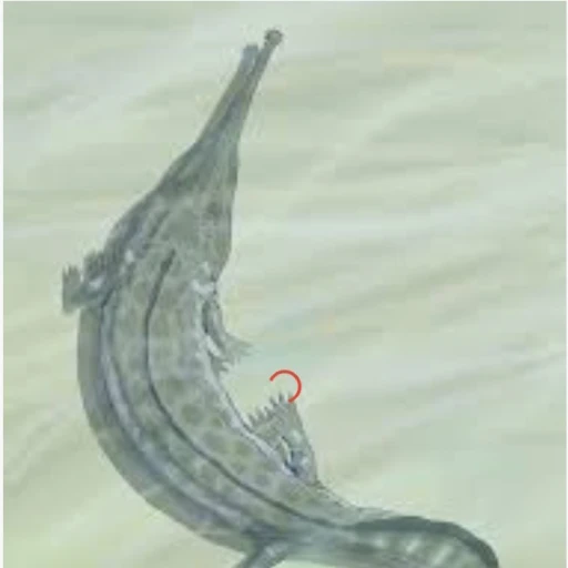 prionosuchus